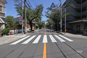敷地北側の前面道路（西側から）