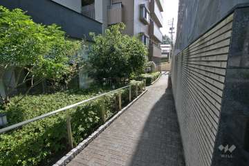 敷地内の通路