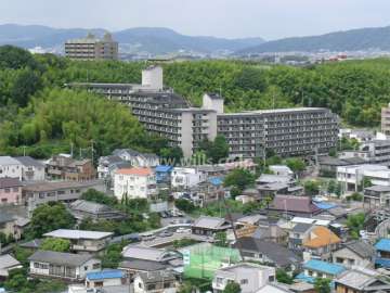 周辺は竹林と一戸建てが中心に立ち並ぶ住宅地