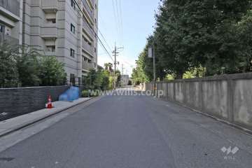 敷地西側の前面道路（北側から）