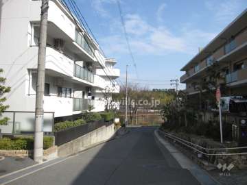 敷地南側の前面道路（西側から）