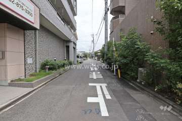 敷地北側の前面道路（西側から）