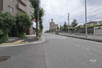 敷地西側の前面道路（北側から）
