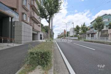 敷地西側の前面道路（北側から）