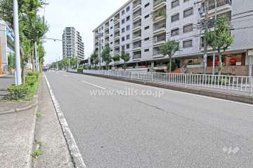 敷地西側の前面道路（南側から）