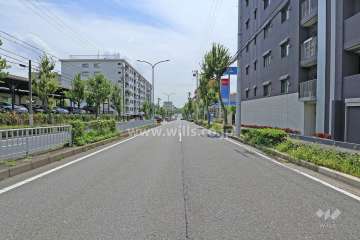 敷地東側の前面道路（北側から）