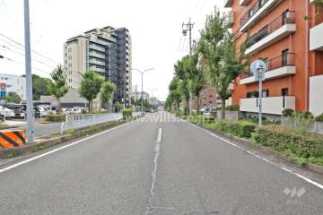敷地東側の前面道路（北側から）