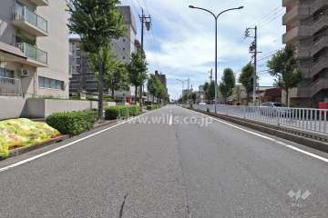 敷地西側の前面道路（北側から）