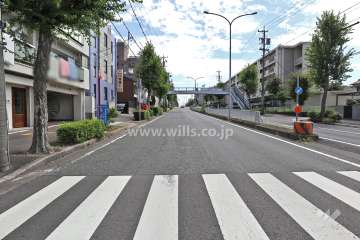 敷地西側の前面道路（北側から）