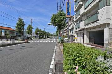 敷地西側の前面道路（南側から）
