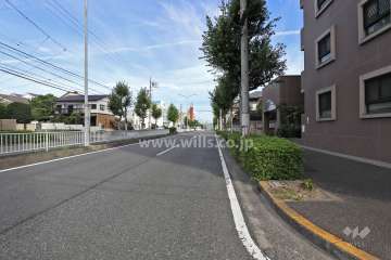 敷地西側の前面道路（南側から）