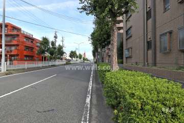 敷地西側の前面道路（南側から）