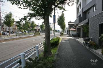 敷地北東側の前面道路（北西側から）