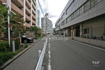 敷地南側の前面道路(西側から)