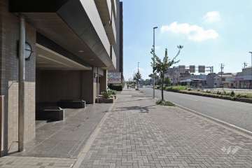 敷地の南側前面道路（西側から）