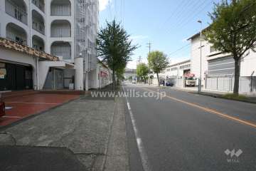 敷地北側の前面道路