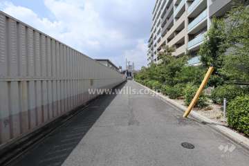 敷地南側の前面道路（東側から）