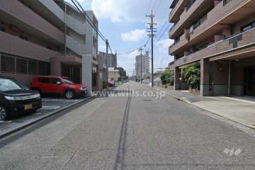 敷地南側の前面道路（東側から）