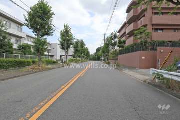 敷地東側の前面道路（北側から）