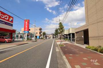 敷地西側の前面道路（南側から）