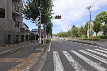 敷地北西側の前面道路（北東側から）