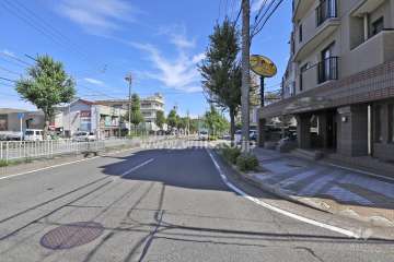 敷地西側の前面道路（南側から）