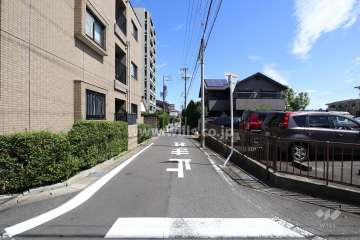敷地南東側の前面道路（南側から）