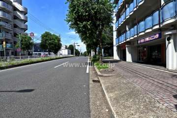 敷地南側の前面道路（東側から）