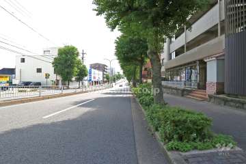 敷地北側の前面道路（西側から）