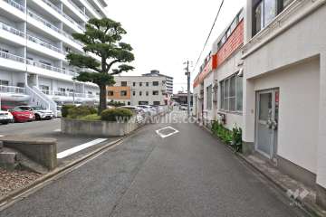 敷地南側の前面道路（西側から）