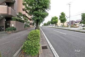 敷地北側の前面道路（東側から）