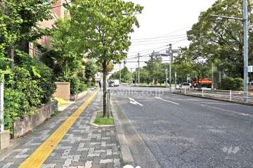 敷地東側の前面道路（南側から）