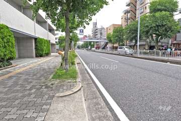 敷地南側の前面道路（西側から）