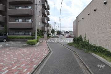 敷地西側の前面道路（北側から）