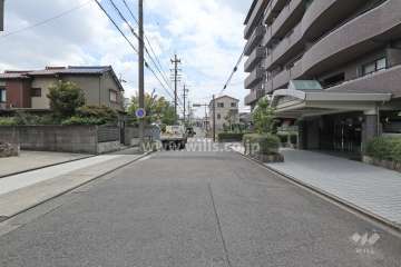 敷地東側の前面道路（北側から）