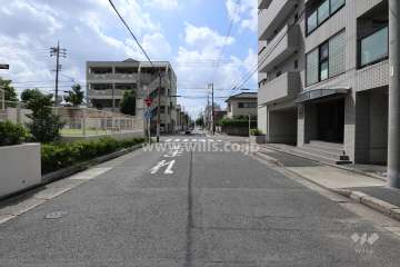 敷地東側の前面道路（北側から）