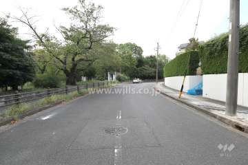 敷地東側の前面道路（北側から）