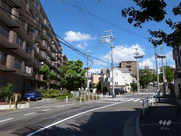 敷地南側の前面道路。街路樹がきれいな二車線の通りです。（歩道付き）