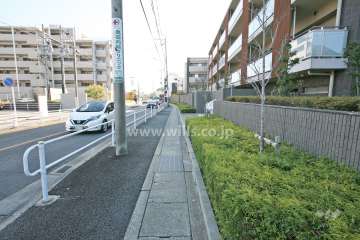 敷地東側前面道路（北側から）