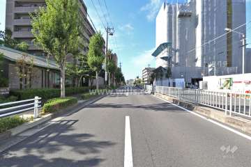 敷地北西側の前面道路（南西側から）