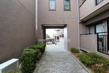 敷地内の通路