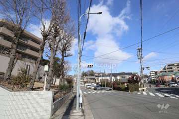 敷地東側の前面道路(南側から)