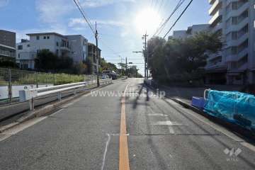 敷地北側の前面道路（西側から）