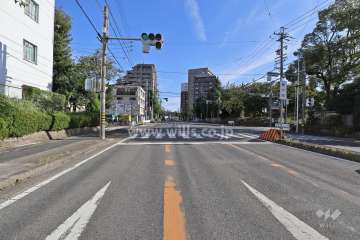 敷地西側の前面道路（南側から）