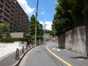 敷地東側の前面道路。