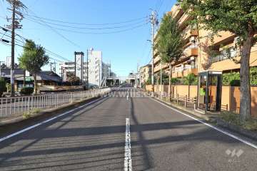 敷地南東側の前面道路（北東側から）