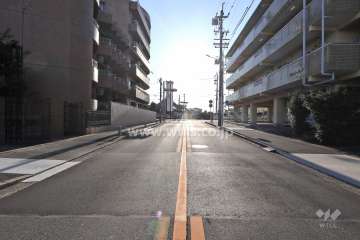 敷地南側の前面道路（西側から）