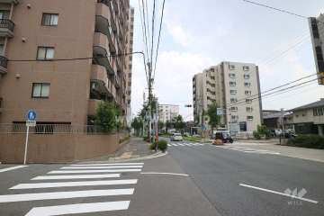 敷地南側の前面道路（西側から）