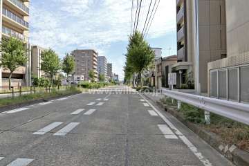 敷地北側の前面道路（西側から）