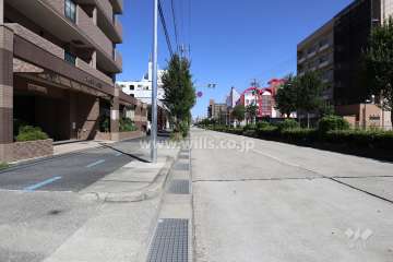 敷地南側の前面道路（西側から）